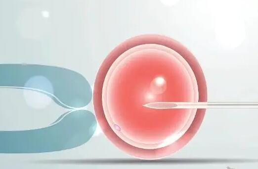 反复胎停、流产,可以直接做试管婴儿助孕吗