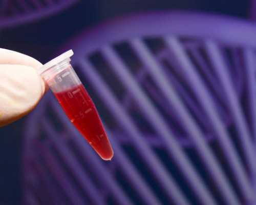 国内供卵试管公司有哪些,曾永年（关于曾永年介绍）