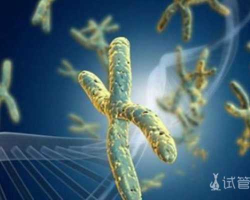 国内供卵辅助生殖机构,7细胞胚养囊成功率高吗？听听做过试管的姐妹怎么说