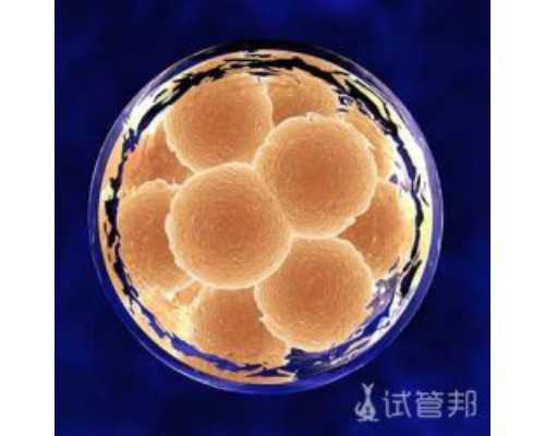 国内三代试管代孕生殖机构,高龄产妇孕育风险大，这五个劝告一定要听，为胎儿提供更多保障