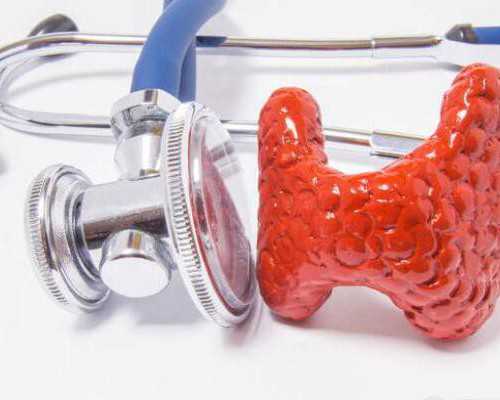 国内供卵代怀服务,曾鲲化（关于曾鲲化介绍）