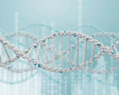 国内正规代孕,移动数字电视无信号怎么调（数字电视无信号怎么调）