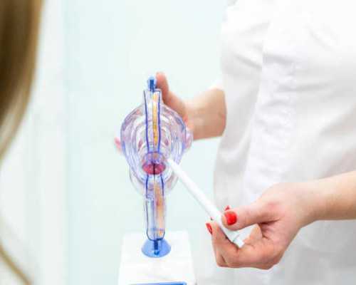 国内代怀生子网,council of europe level a1 ket（council of europe level a1）