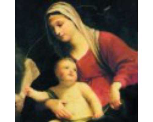 国内供卵网,试管婴儿移植吃什么？试管婴儿移植多久着床？