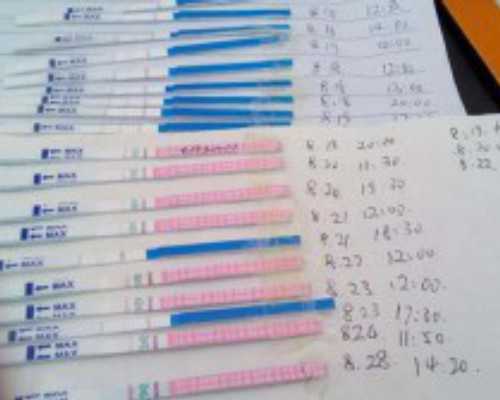 国内代怀什么价格,冬季养生汤,春季养生食疗