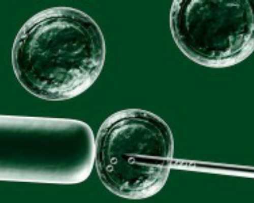 国内供卵试管在哪里做,短方案未满足这3点不让移植鲜胚！具体原因别错过