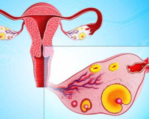 国内助孕代怀,沈阳正规试管婴儿医院成功率哪家强?沈阳三代试管费用明细参考