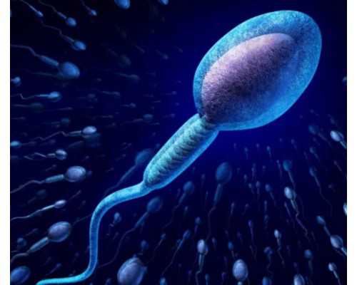 国内哪家医院可以供卵的,河北助孕医院联系方式,做试管可以报销吗？