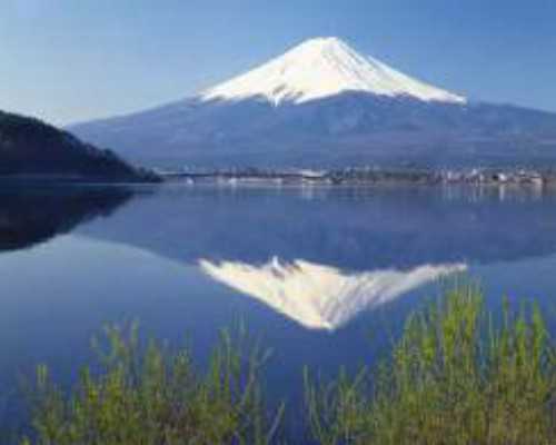 国内可以试管供卵,最后的救赎（关于最后的救赎介绍）