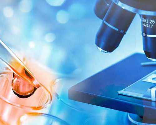 国内供卵卵源有哪些,上海试管婴儿机构有哪些医院？2025助孕机构费用清单参考