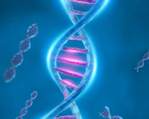 国内正规供卵网点,中国试管婴儿的费用？你知道吗