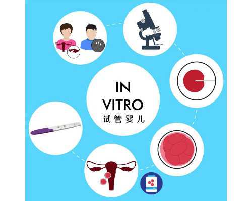 国内哪家医院做供卵不用等待,如何网上汇款（怎样网上汇款）