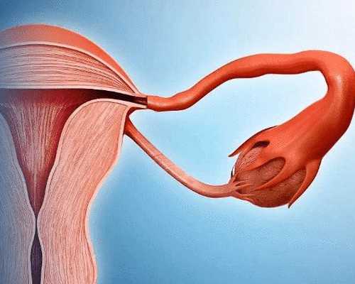 国内供卵中心排名榜前十,不降调直接促排卵子质量好吗？试管降调后应该怎么做?