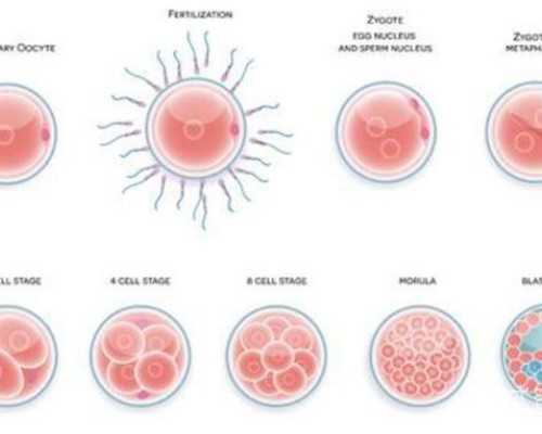 国内代生子,钦州灵山县试管婴儿哪家做的好?