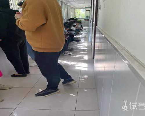 国内哪家医院能代孕,贵州医科大学附属医院借卵*子试管费用多少钱