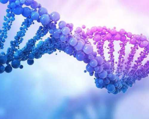 国内供卵费用明细查询,北京能做三代试管的医院有很多，排名第一的医院竟然是这家！