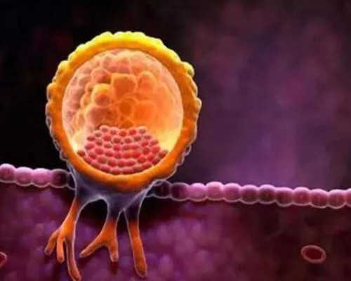 国内试管供卵哪里做,郑州做试管婴儿价格是多少？内附2025试管价格！