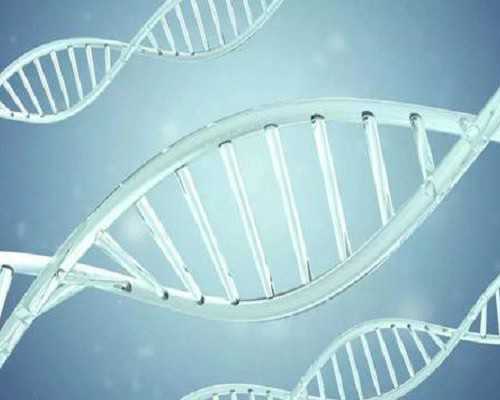 国内供卵试管公司有哪些,[咸宁试管婴儿]咸宁第三代试管***吗