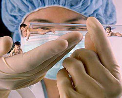 国内代生在线咨询,美国关于冻卵的法律，现在知道还不晚