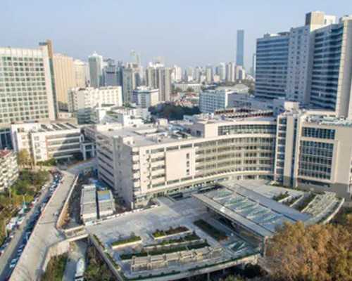 国内试管代怀,预估三代试管婴儿包生儿子费用大约多少(三代试管三代试管价格2025)