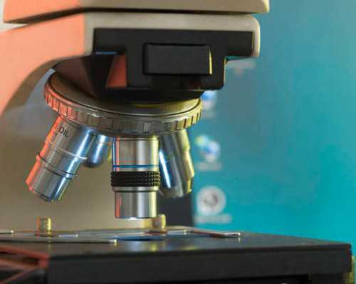 国内代怀成功率,近十年EMC医疗中心试管婴儿成功率稳定在80%