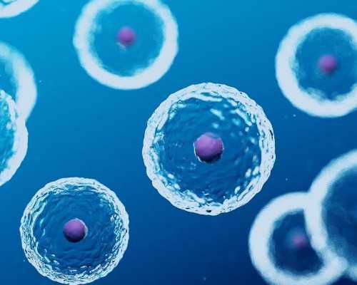 国内供卵,*率、费用大比较，告诉你试管长方案和短方案哪个好