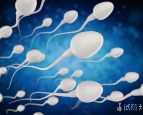 国内供卵机构找公司怎么找,多囊可以直接促排怀孕吗？别急，看完再做决定！