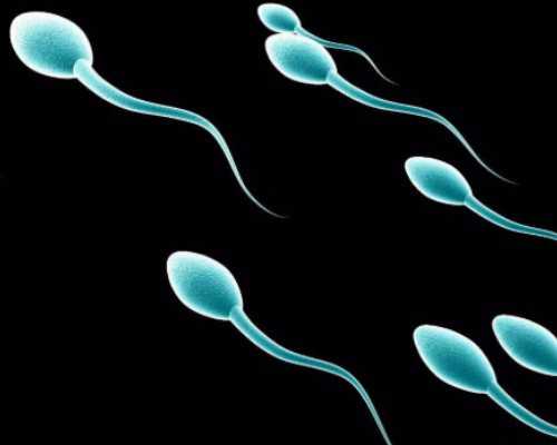 国内哪里供卵快点,美国试管技术优势多附美国知名医院试管费用明细表