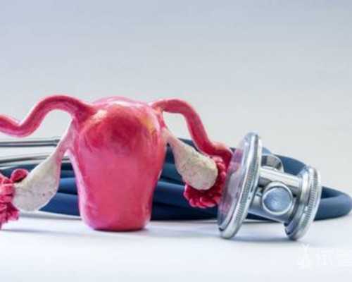 哪里能找到供卵的人,沧州二医院做试管费用(沧州试管婴儿哪家医院)