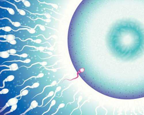 国内试管代怀男宝,备孕可以喝豆浆吗（备孕叶酸什么牌子好）