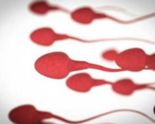 中国哪家医院能提供供卵的,微信 取现金（微信取现金怎么不收手续费）