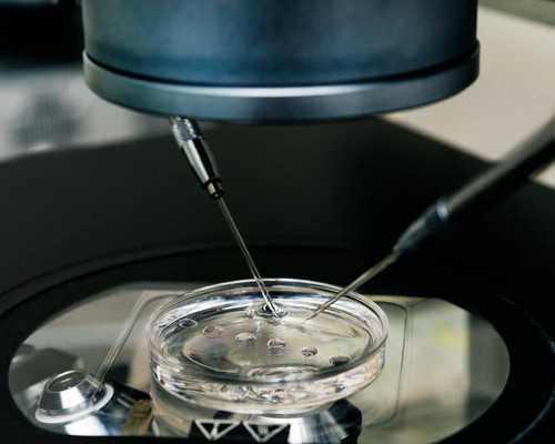 国内做供卵要多少钱,女人怀孕的14个信号都有哪些(具体表现在哪些方面呢)