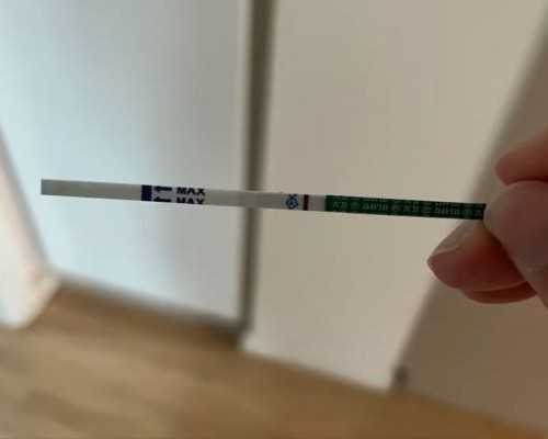 国内试管供卵多少钱一个,吃了避孕药还是怀孕了是为什么？