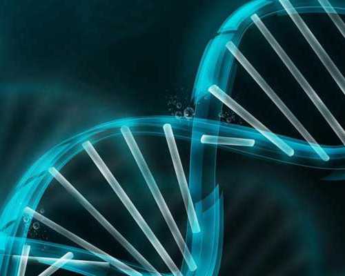 国内代生代怀产子服务,山东试管十大排名医院？费用多少？