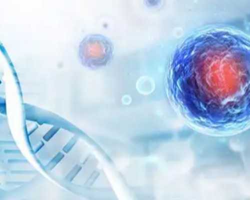 国内供卵有哪些医院,三代试管会有唐氏儿么,三代试管还会有唐氏高风险吗