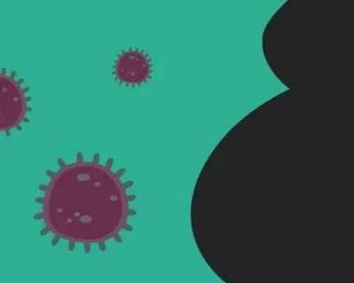 国内专业代孕价格,助孕试管需要满足哪些条件(移植鲜胚条件)