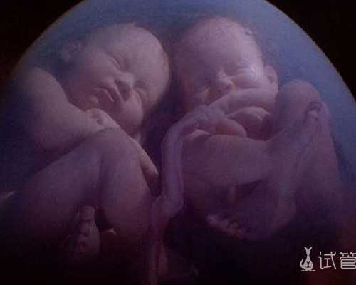 国内最好的私人供卵机构是,南通三代试管婴儿私立医院排名分享