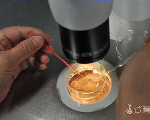 国内供卵机构有几家,ohss高危多久可以移植？hpv52阳性能不能做试管移植？
