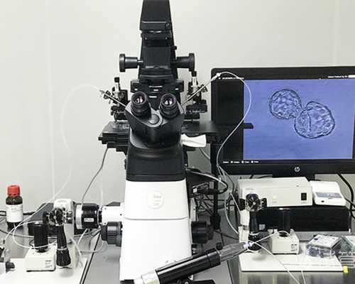 国内可以做供卵的私立医院,判断巨大儿的标准不止体重，双顶径超过这个数要警惕