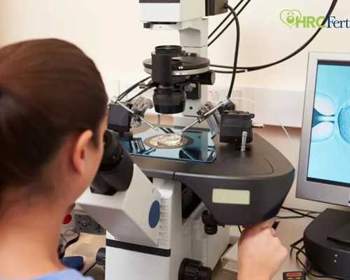 中国可以供卵的医院排名,人工和试管有什么区别？人工授精与美国试管婴儿的种类方法 ...