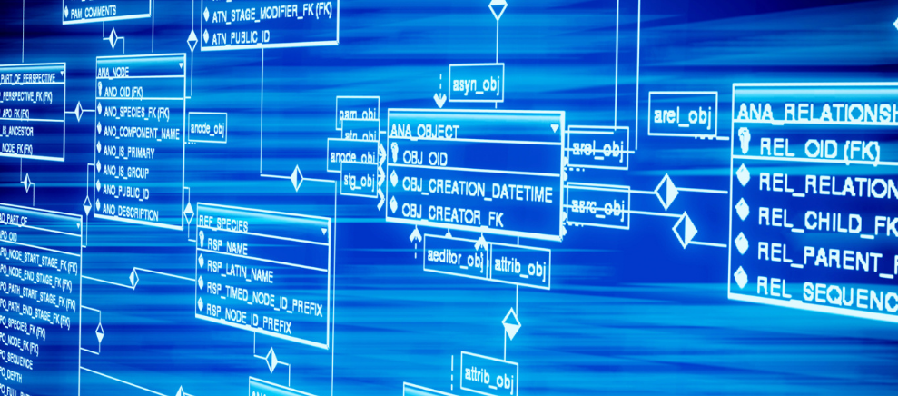 西安孕链生物公司